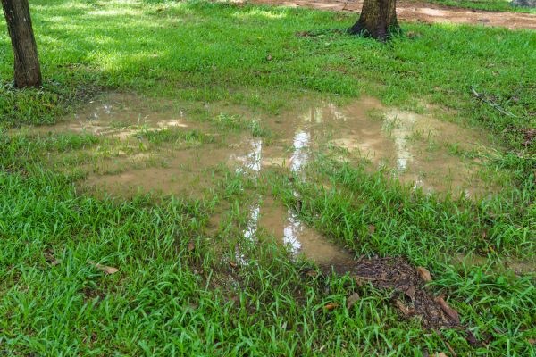 Cost of Storm Water Drainage Service in Easley