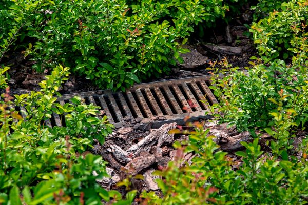 Cost of Underground Drainage Service in Easley