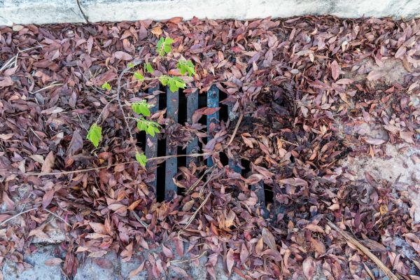 Cost of Yard Drain Unclogging in Easley