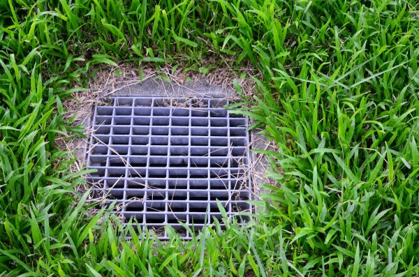 Yard Water Drainage in Easley