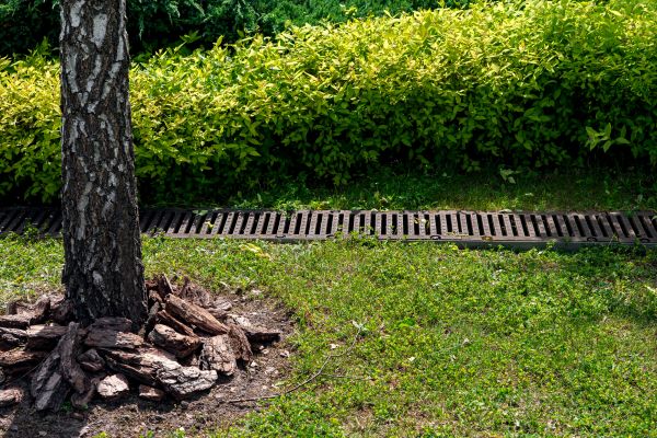 Cost of Wet Yard Drainage in Easley