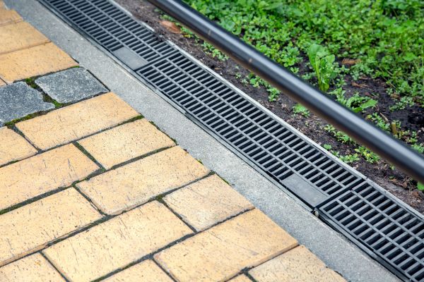 Cost of Waterlogged Yard Repair in Easley