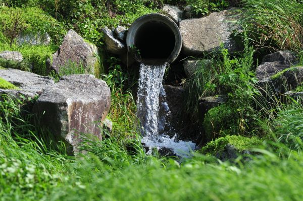 Water Redirection in Easley