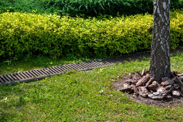 Cost of Residential Landscape Drainage in Easley