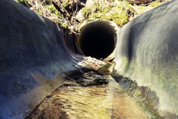 Cost of Drainage Swale Installation in Easley