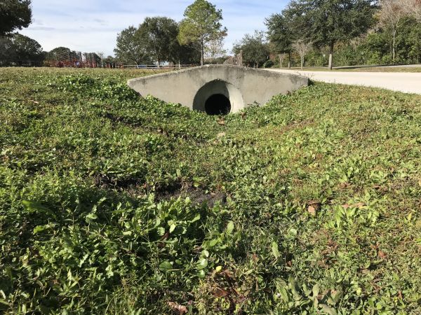 Swale Drainage Service in Easley